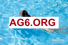 南安普顿 vs 布伦特福德 赛事直播入口